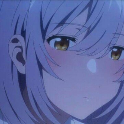 花主人连夜换警示牌